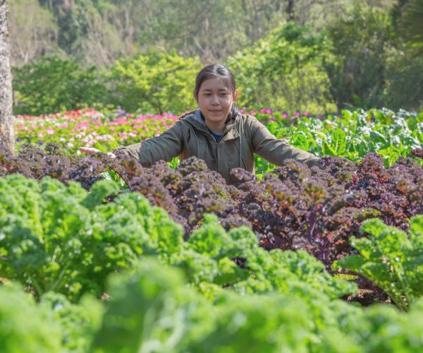 Teenage girl in hydroponic garden during morning time food background concept with copy space